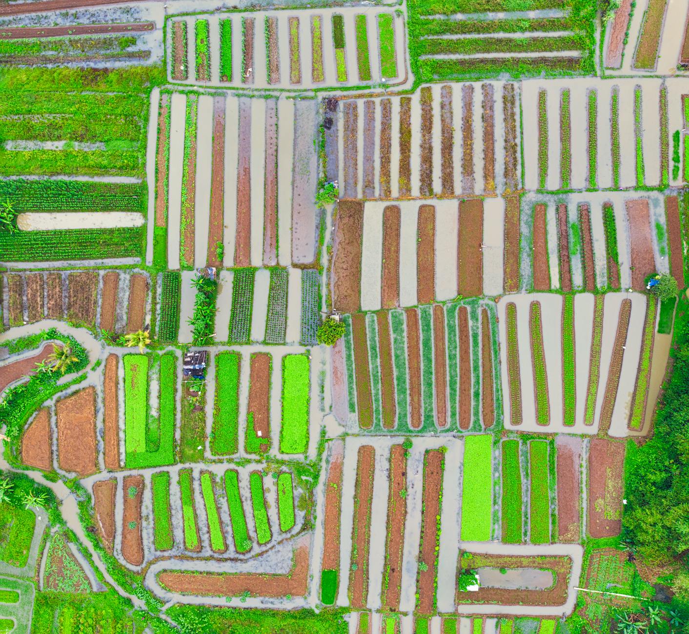 rahasia-membeli-tanah-sengketa-dengan-aman-2264699