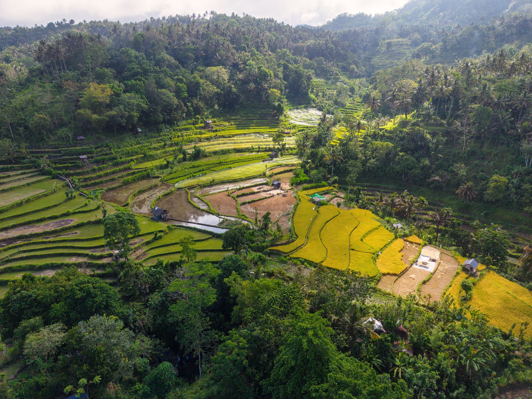 Sertifikat tanah ganda bisa menjadi masalah yang rumit, namun dengan mengetahui prosedur yang tepat dan mendapatkan bantuan dari ahli, Anda dapat menyelesaikan masalah ini dan memastikan keabsahan hak atas tanah Anda.
